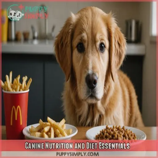 Canine Nutrition and Diet Essentials