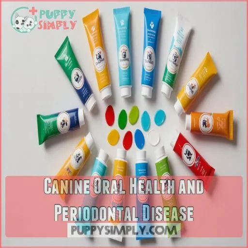 Canine Oral Health and Periodontal Disease