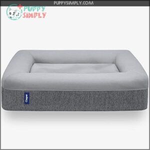Casper Dog Bed, Plush Memory B07BMLBSP7