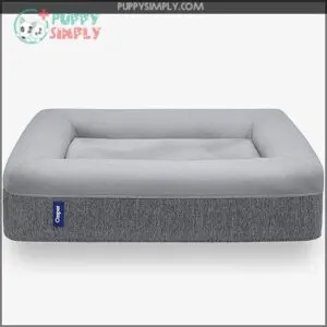 Casper Dog Bed, Plush Memory