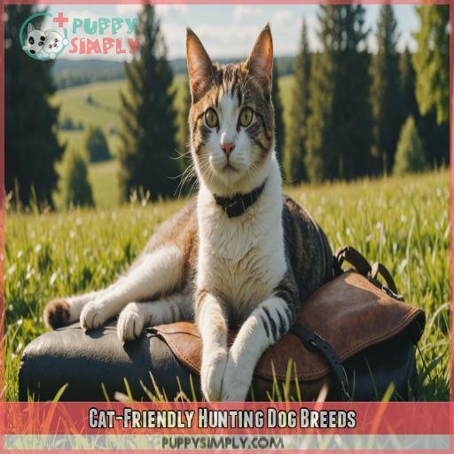 Cat-Friendly Hunting Dog Breeds Cat-Friendly Hunting Dog Breeds
