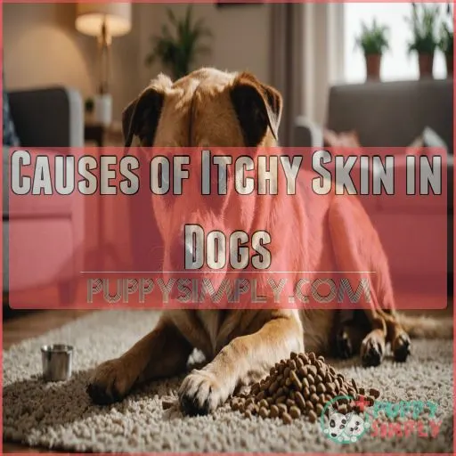 Causes of Itchy Skin in Dogs