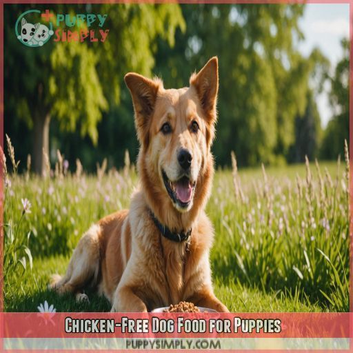 Chicken-Free Dog Food for Puppies