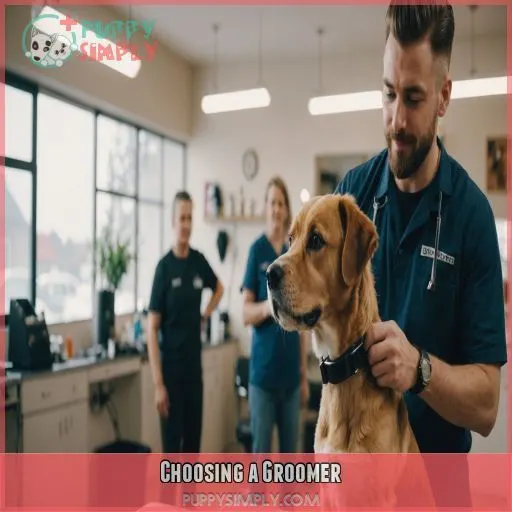 Choosing a Groomer