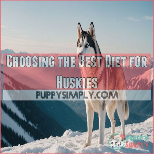 Choosing the Best Diet for Huskies