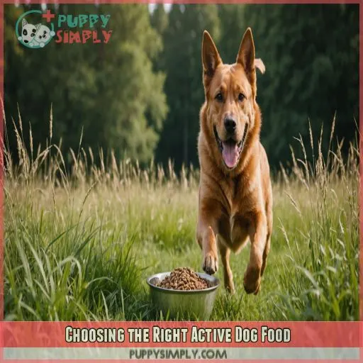 Choosing the Right Active Dog Food