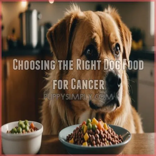 Choosing the Right Dog Food for Cancer