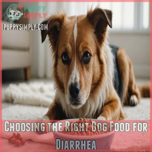 Choosing the Right Dog Food for Diarrhea