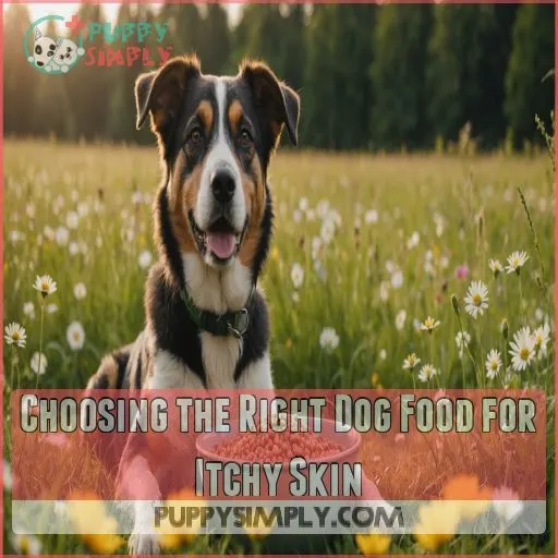 Choosing the Right Dog Food for Itchy Skin