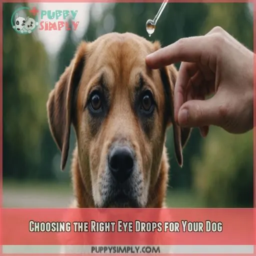 Choosing the Right Eye Drops for Your Dog