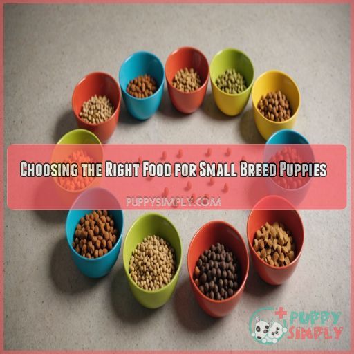 Choosing the Right Food for Small Breed Puppies