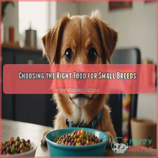 Choosing the Right Food for Small Breeds