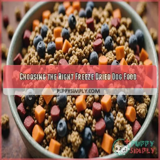 Choosing the Right Freeze Dried Dog Food