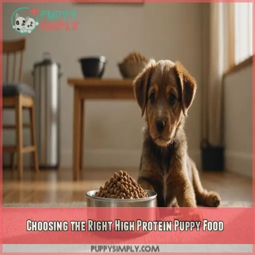 Choosing the Right High Protein Puppy Food