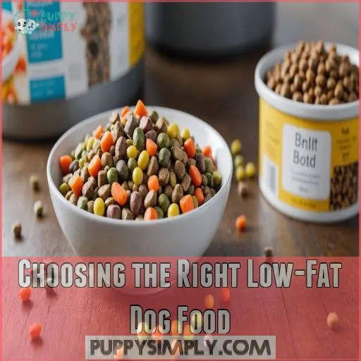 Choosing the Right Low Fat Dog Food