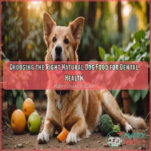 Choosing the Right Natural Dog Food for Dental Health