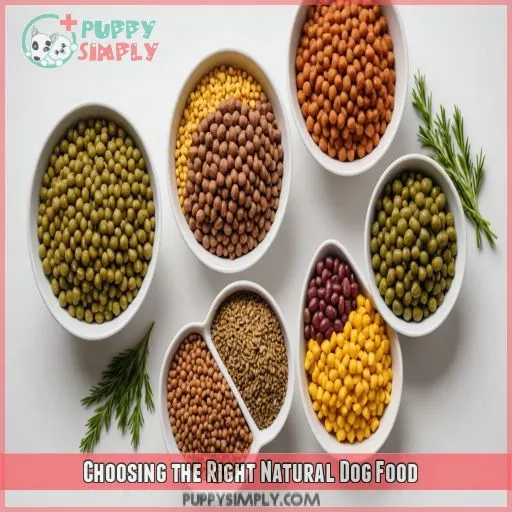 Choosing the Right Natural Dog Food