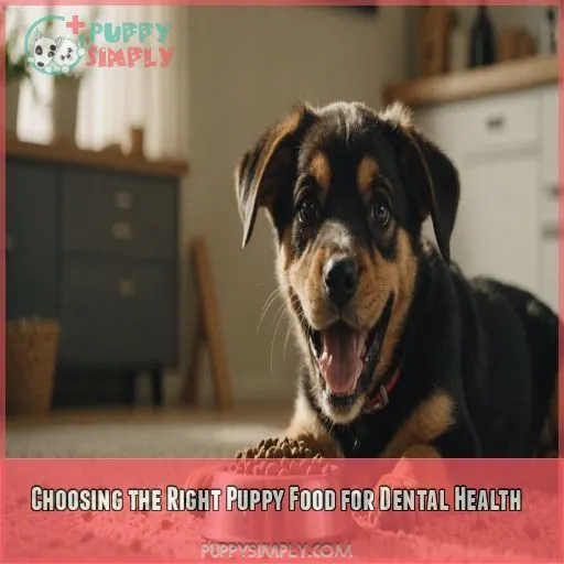 Choosing the Right Puppy Food for Dental Health