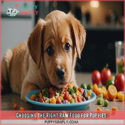 Choosing the Right Raw Food for Puppies