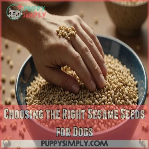 Choosing the Right Sesame Seeds for Dogs