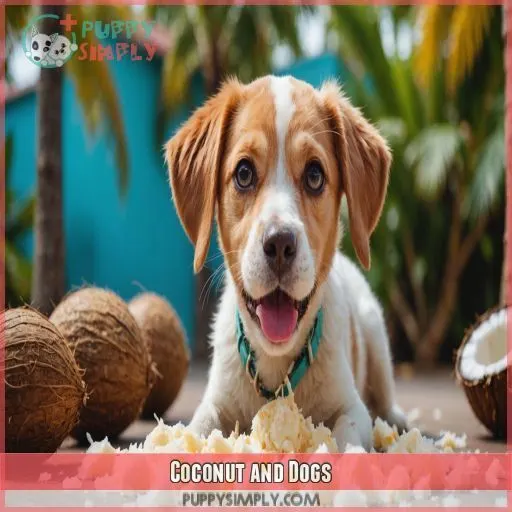 Coconut and Dogs