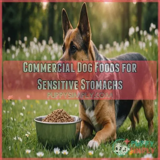 Commercial Dog Foods for Sensitive Stomachs