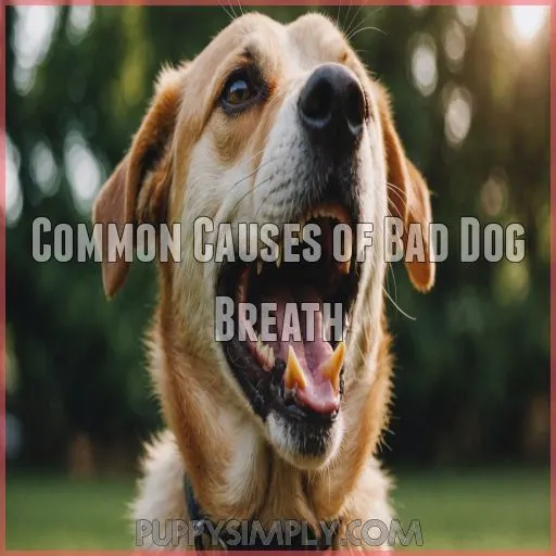 Common Causes of Bad Dog Breath