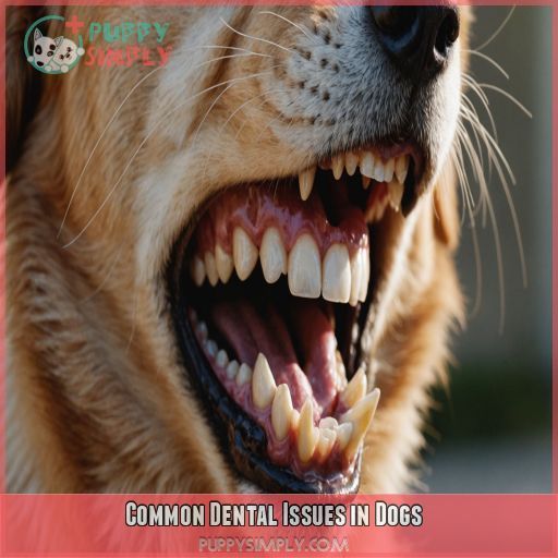 Common Dental Issues in Dogs