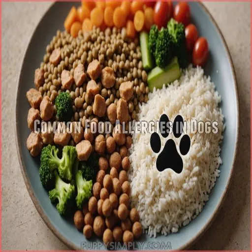 Common Food Allergies in Dogs