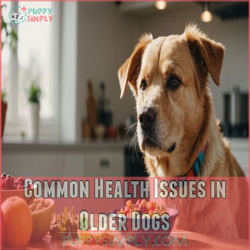 Common Health Issues in Older Dogs