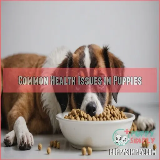 Common Health Issues in Puppies