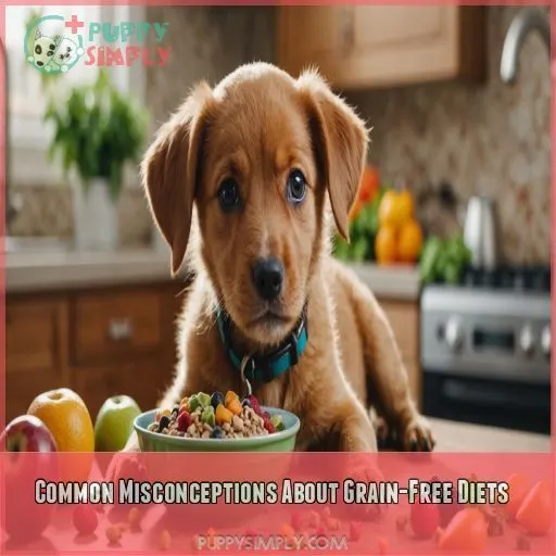 Common Misconceptions About Grain-Free Diets