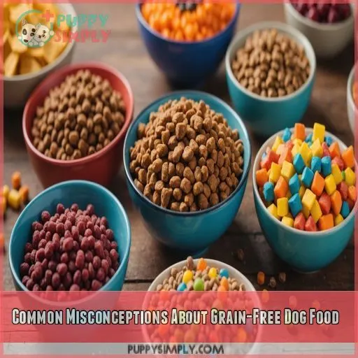 Common Misconceptions About Grain-Free Dog Food