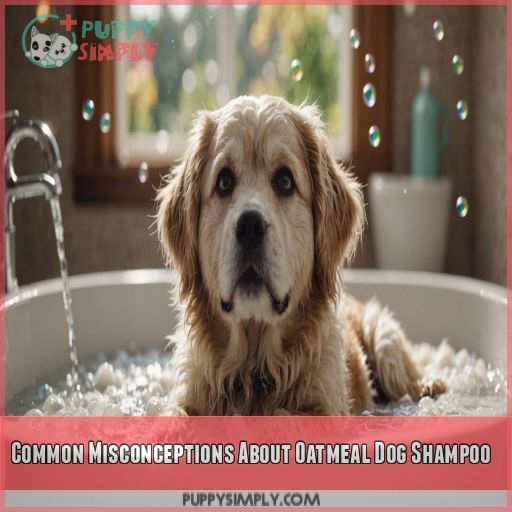 Common Misconceptions About Oatmeal Dog Shampoo