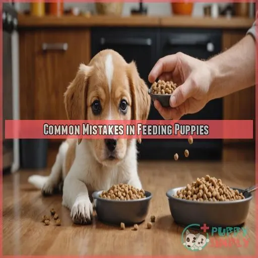 Common Mistakes in Feeding Puppies