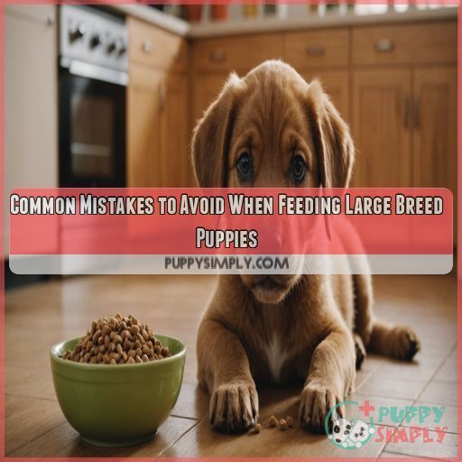 Common Mistakes to Avoid When Feeding Large Breed Puppies