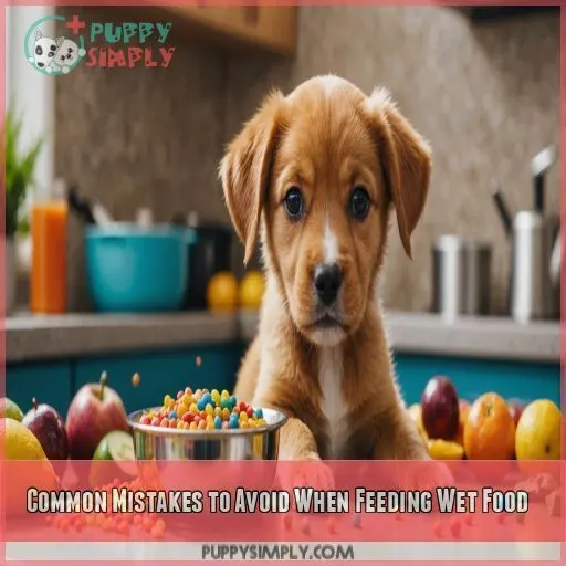 Common Mistakes to Avoid When Feeding Wet Food