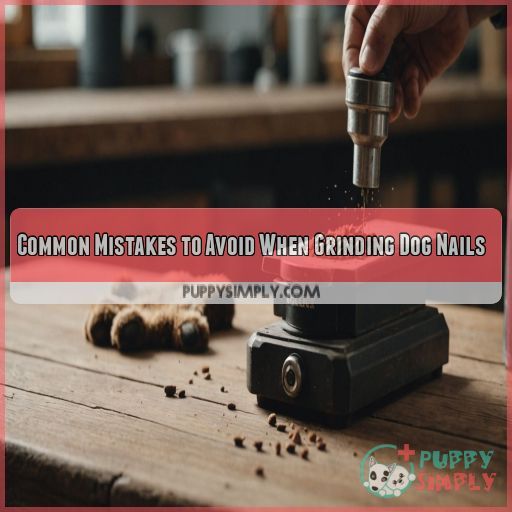 Common Mistakes to Avoid When Grinding Dog Nails