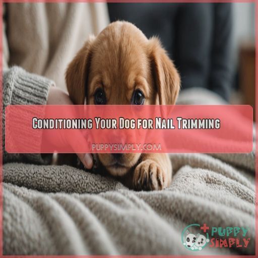 Conditioning Your Dog for Nail Trimming Conditioning Your Dog for Nail Trimming