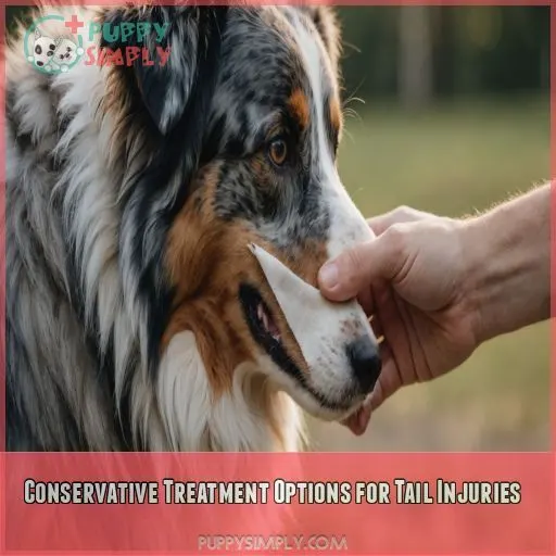 Conservative Treatment Options for Tail Injuries