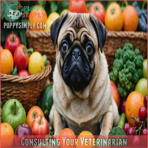 Consulting Your Veterinarian