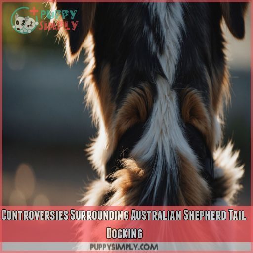 Controversies Surrounding Australian Shepherd Tail Docking