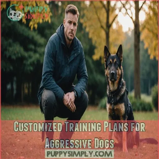 Customized Training Plans for Aggressive Dogs