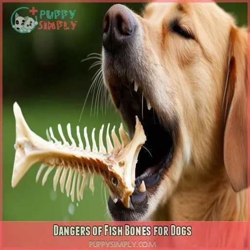 Dangers of Fish Bones for Dogs