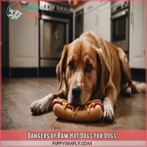 Dangers of Raw Hot Dogs for Dogs