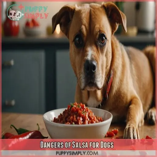 Dangers of Salsa for Dogs