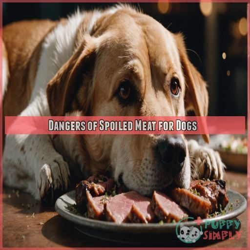 Dangers of Spoiled Meat for Dogs Dangers of Spoiled Meat for Dogs