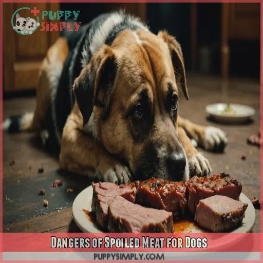 Dangers of Spoiled Meat for Dogs