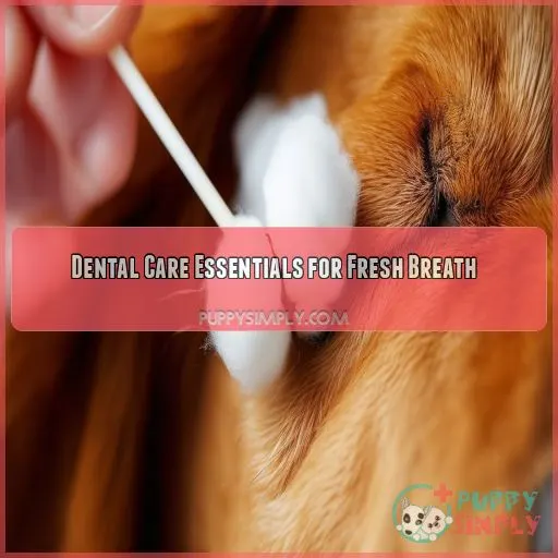 Dental Care Essentials for Fresh Breath