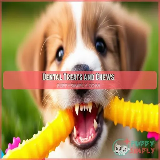 Dental Treats and Chews